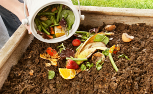 Create a Compost Pit